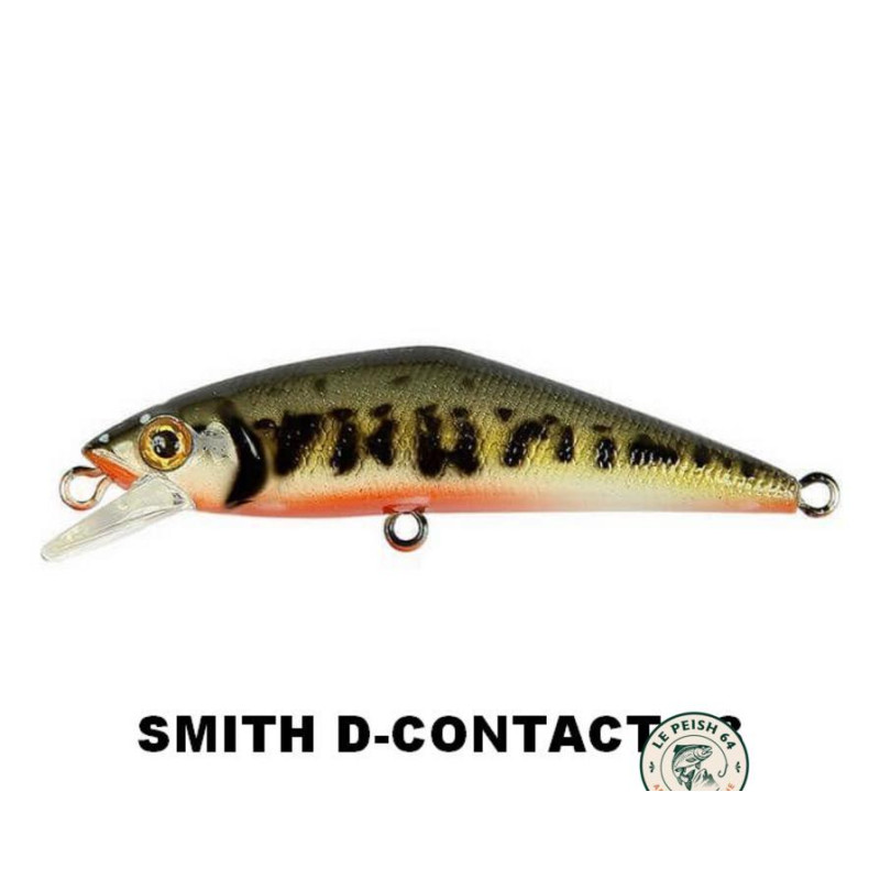 Smith D-Contact 63 Chartback Yamame | Le Peish 64