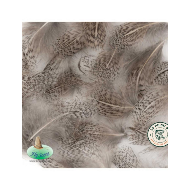 Partridge Hackle Natural Grey | Le Peish 64