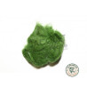 Hare's Ear Plus Insect Green | Le Peish 64