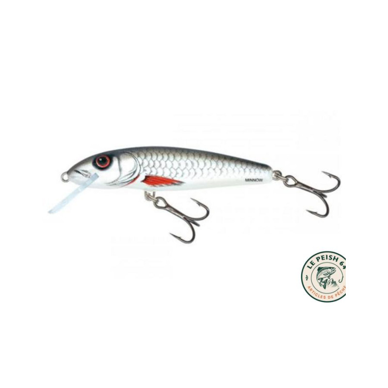 Minnow 7 Sinking Dace | Le Peish 64