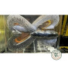 Reins Manta 760 Herring | Le Peish 64