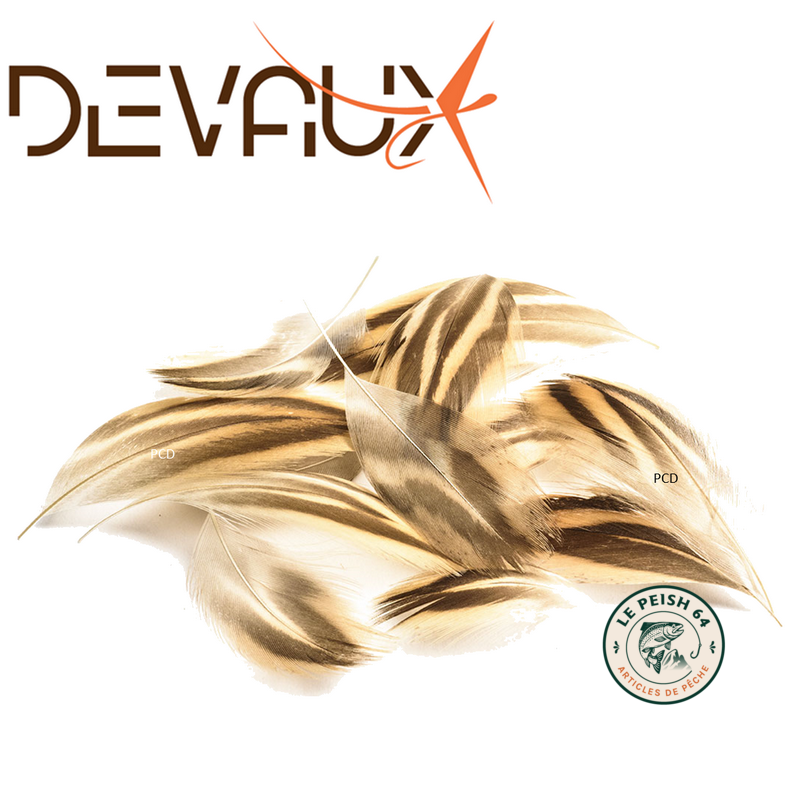 Plumes flanc de canne + poitrail | Le Peish 64