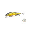 Vision 110 SR GG Perch | Le Peish 64
