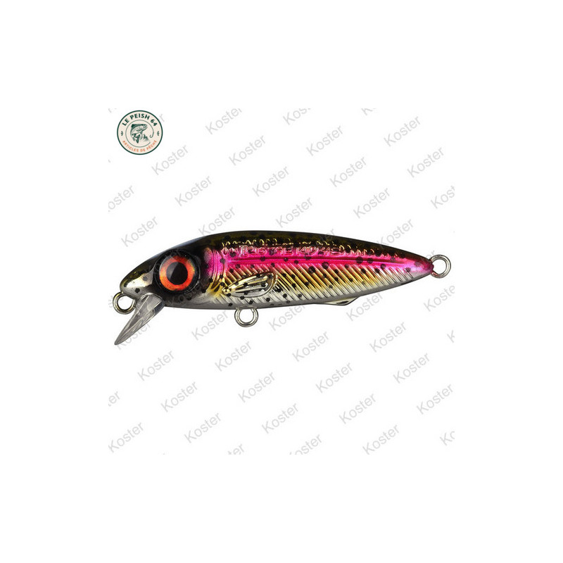 Spro IRIS The Kid R.TROUT 48mm 6g | Le Peish 64