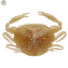GULP Crabe Peeler Crab Natural | Le Peish 64