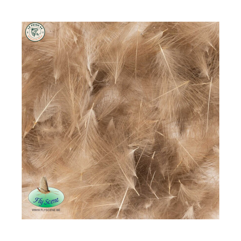 Wild Duck Cul de Canard Natural Brown | Le Peish 64