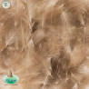Wild Duck Cul de Canard Natural Brown | Le Peish 64