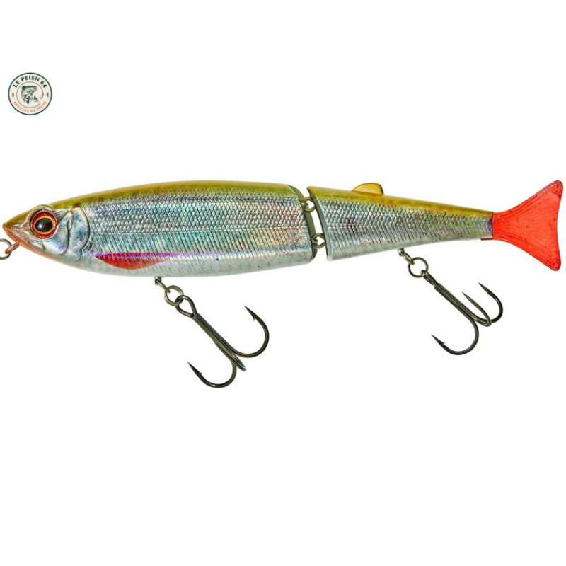 Freddy 130 CW Noisy Notorious Pike | Le Peish 64