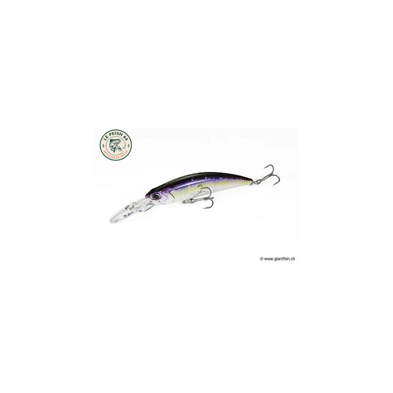 Spearhead Ryuki 70 MDSP Vairon | Le Peish 64