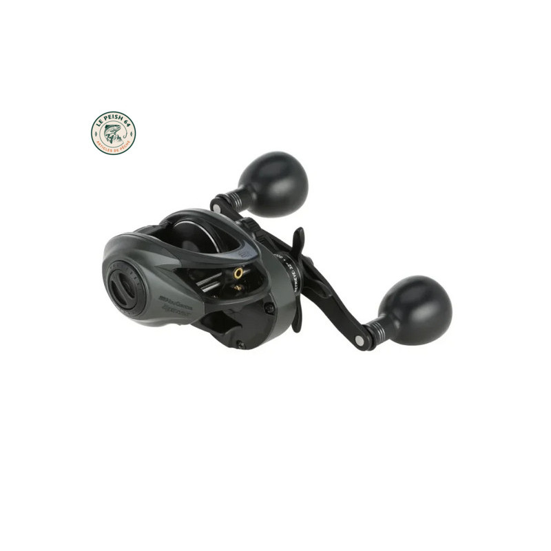BEAST 300 LP-HS-L | Le Peish 64