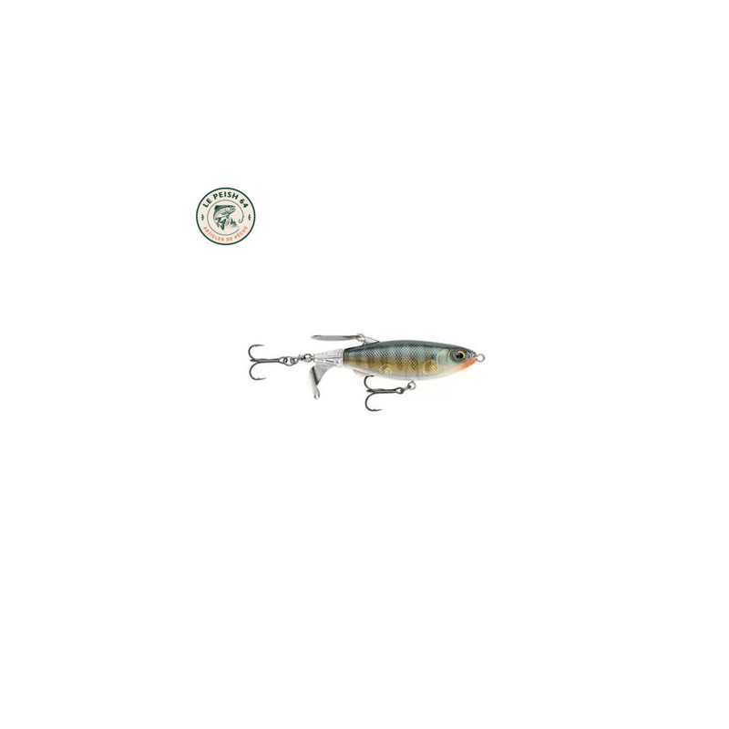 Clap Tail CT110 TG | Le Peish 64