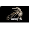 Little Spider 3.5 008S | Le Peish 64