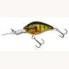 Raiju 45F Perch Master | Le Peish 64