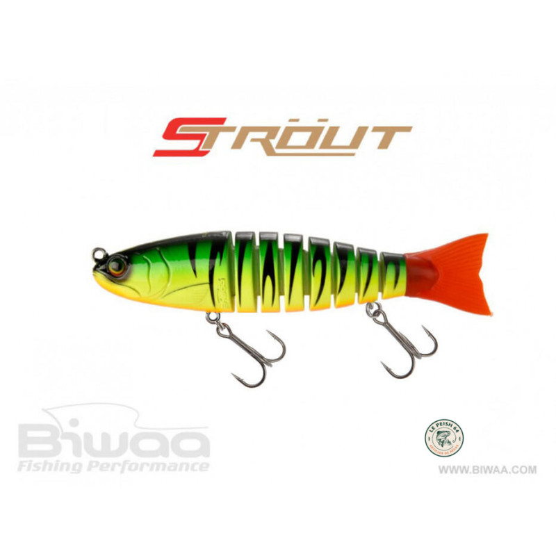 STROUT 230S FIRETIGER | Le Peish 64
