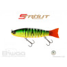 STROUT 230S FIRETIGER | Le Peish 64